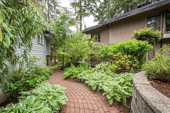 2407 Treetop Lane, North Vancouver For Sale - image 35