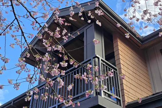 29 555 Raven Woods Drive, North Vancouver