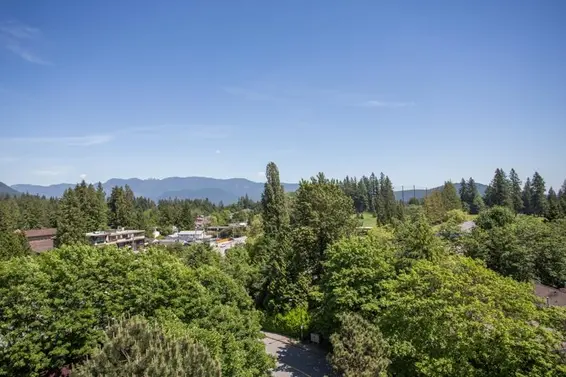 907 995 Roche Point Drive, North Vancouver For Sale - image 34